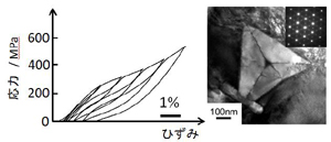 research_image_hosoda2014a1.jpg