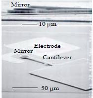 research_image_koyama2014.jpg