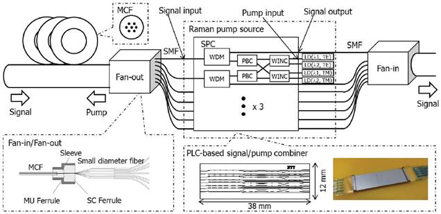 research_image_suzuki2013a.jpg