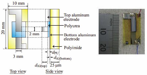 research_image_tabaru2013a.jpg