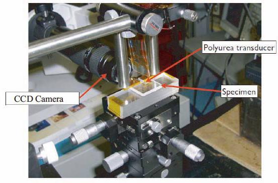 research_image_tabaru2013b.jpg