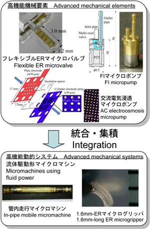 research_image_yoshida2015a.jpg