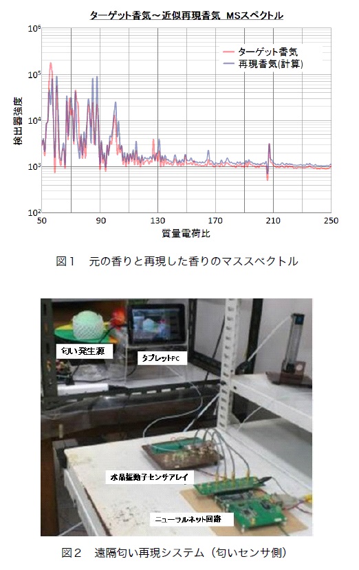 Nakamoto_NewsJapan.jpg